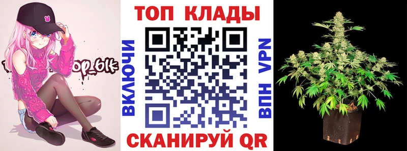Где найти наркотики Ельня mega сайт  A PVP  Амфетамин  Меф мяу мяу  Канабис  COCAIN  Гашиш 