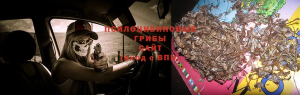 альфа пвп Богородск