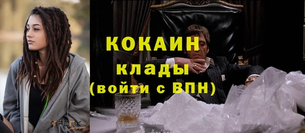 прущие грибы Беломорск