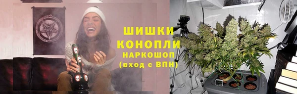 прущие грибы Беломорск