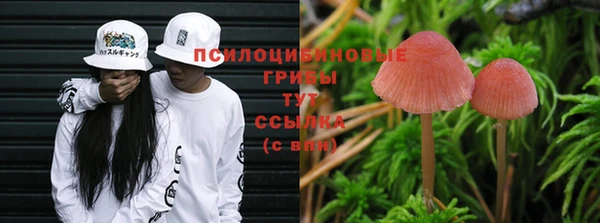 гидра Богданович