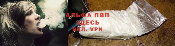 дживик Белоозёрский