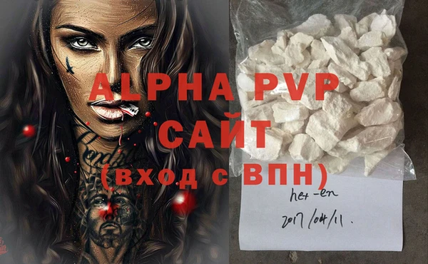 прущие грибы Беломорск