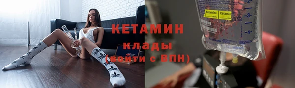 гидра Богданович