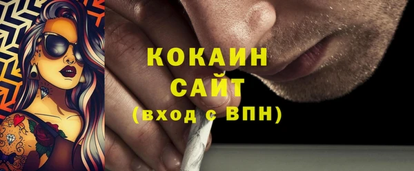 гидра Богданович