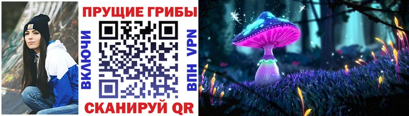 дарнет шоп МЕГА вход Галлюциногенные грибы Psilocybe Ельня